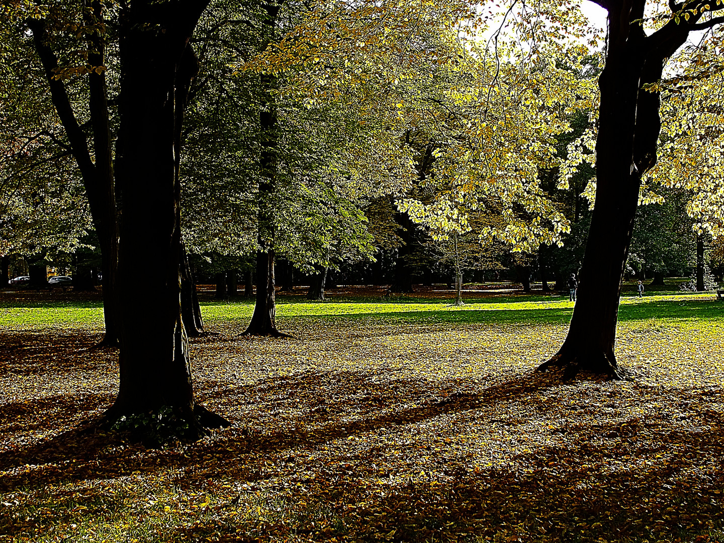 Licht und Schatten