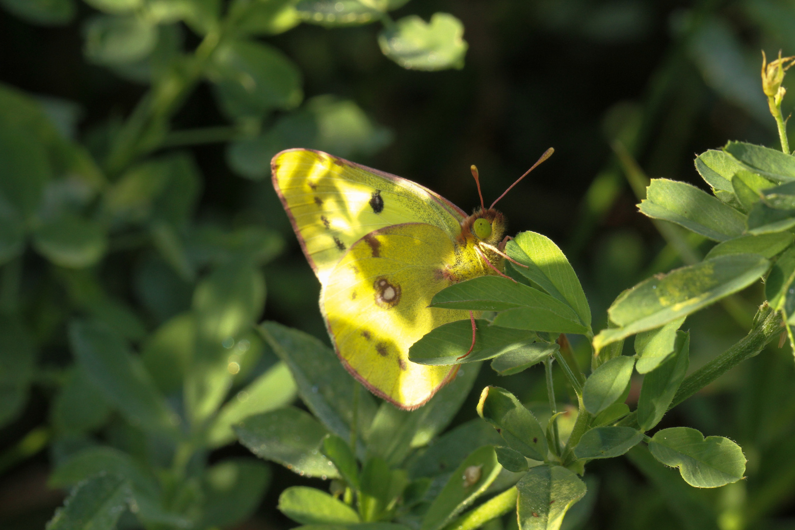 Licht und Schatten