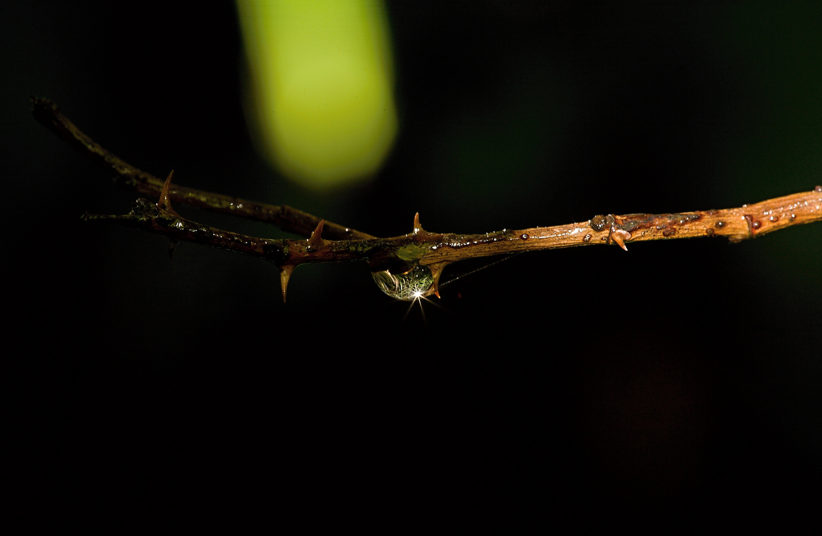 licht und schatten