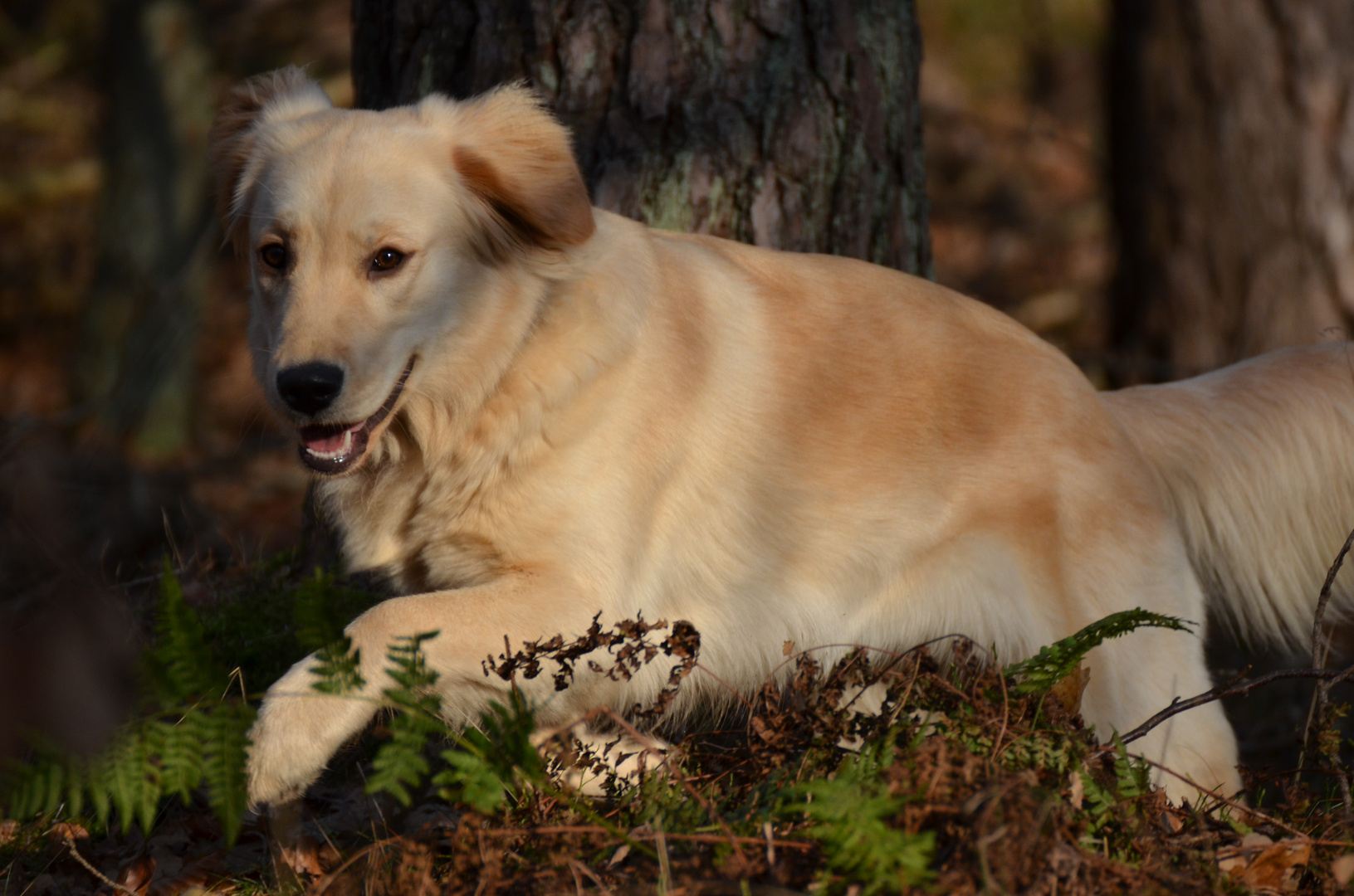 Licht und Schatten