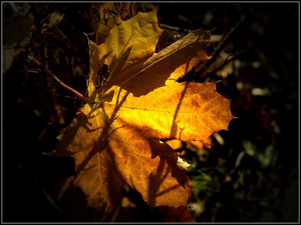 Licht und Schatten