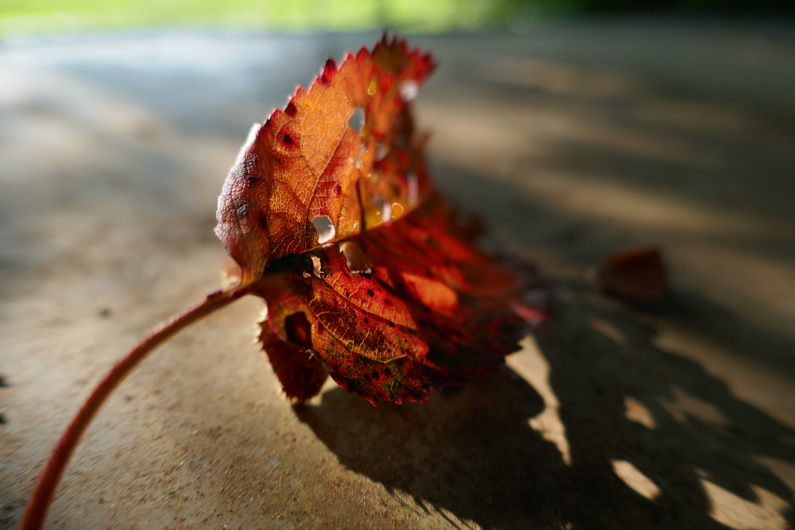 Licht und Schatten