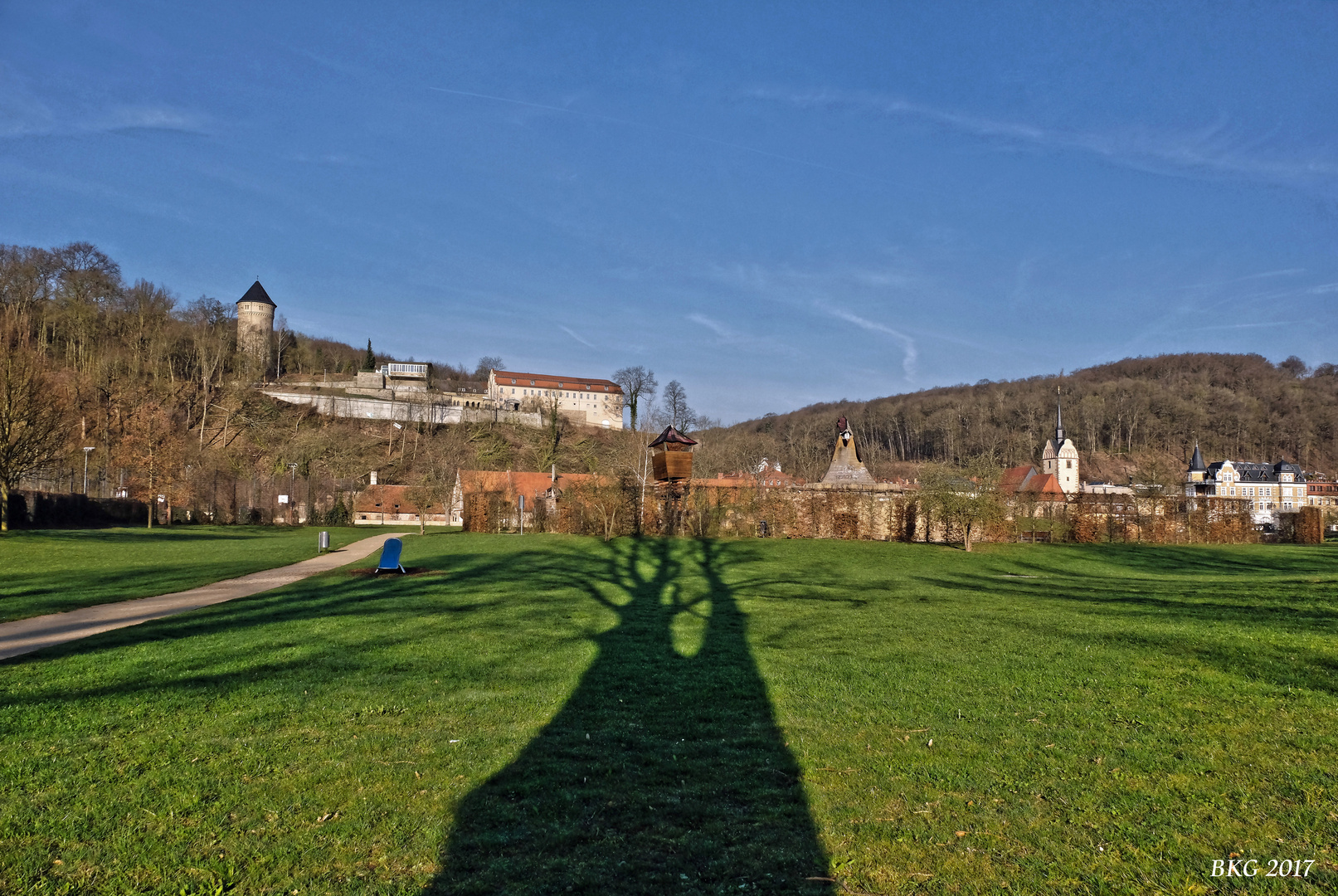 Licht und Schatten - Hofwiesenpark Gera 