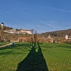 Licht und Schatten - Hofwiesenpark Gera 