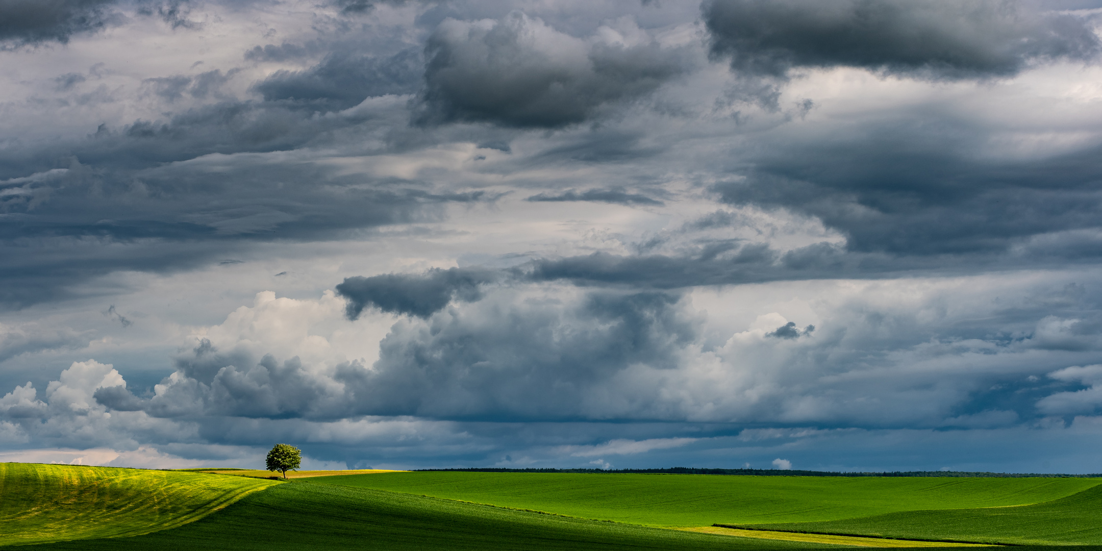 Licht und Schatten II