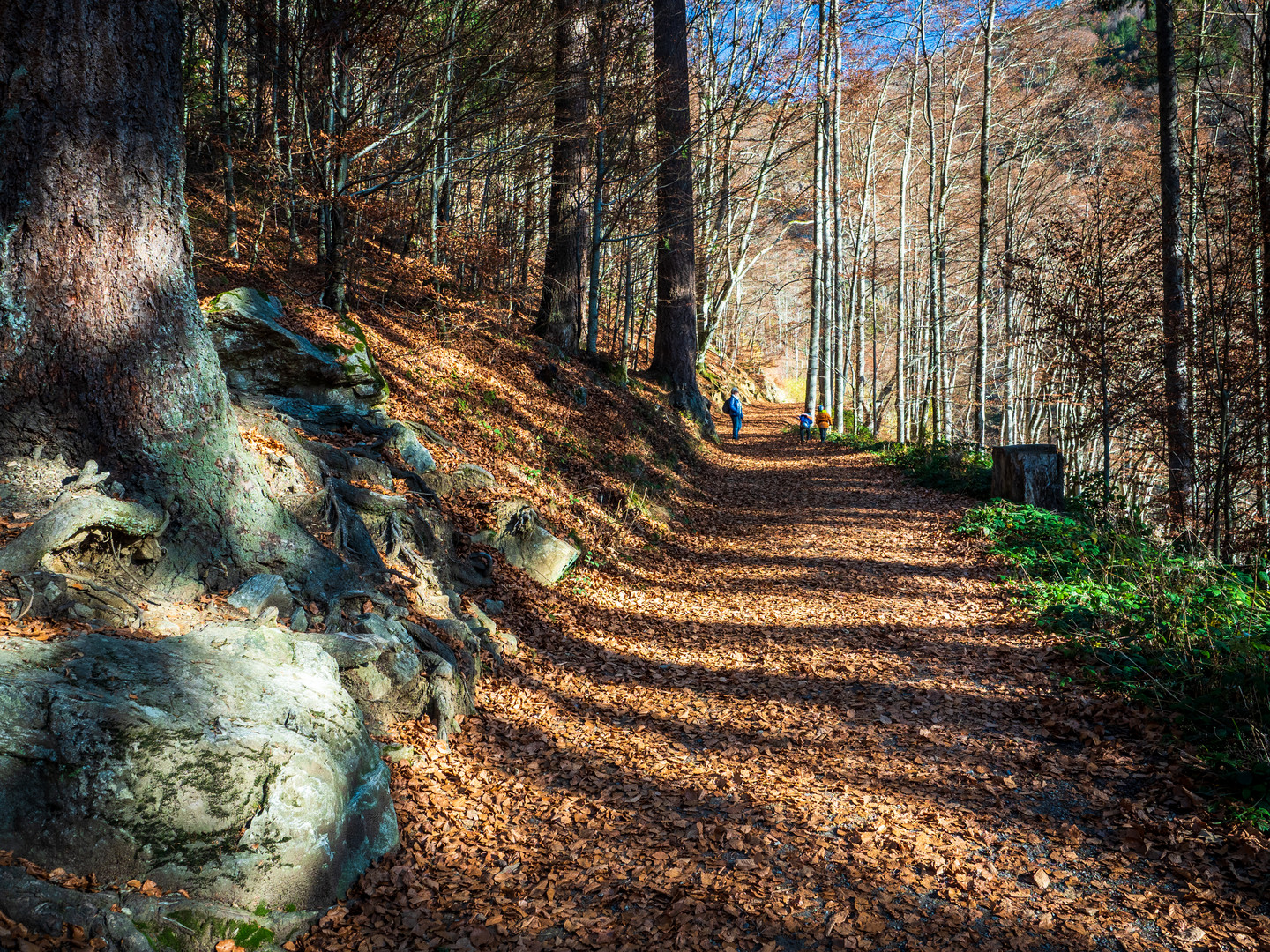 Licht und Schatten II