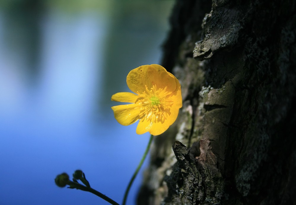 Licht und Schatten II