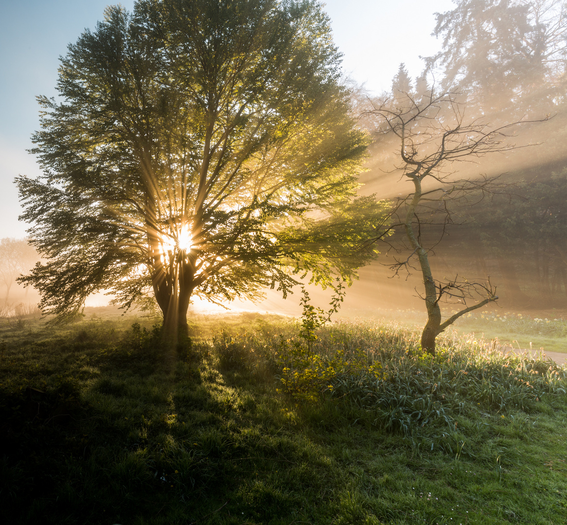 Licht und Schatten... II