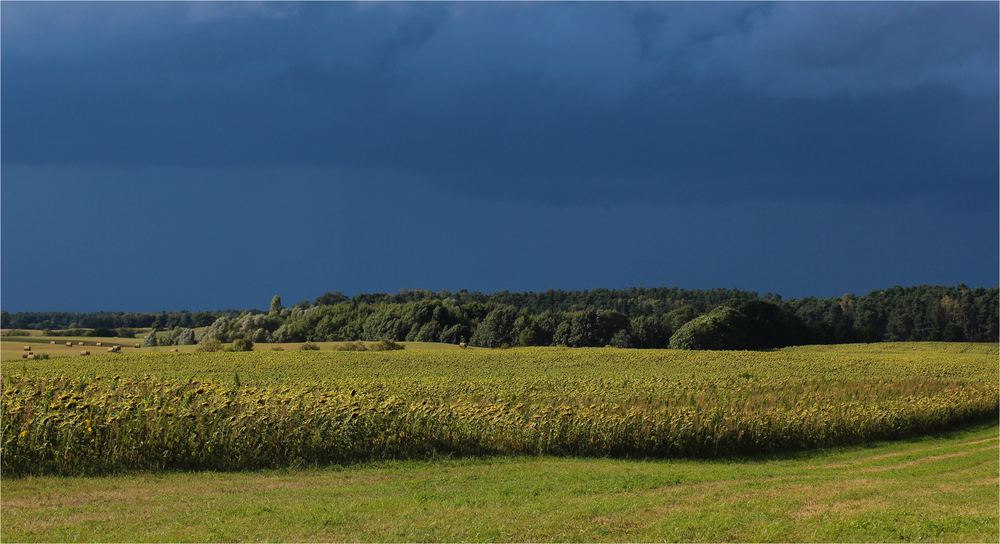 Licht und Schatten II