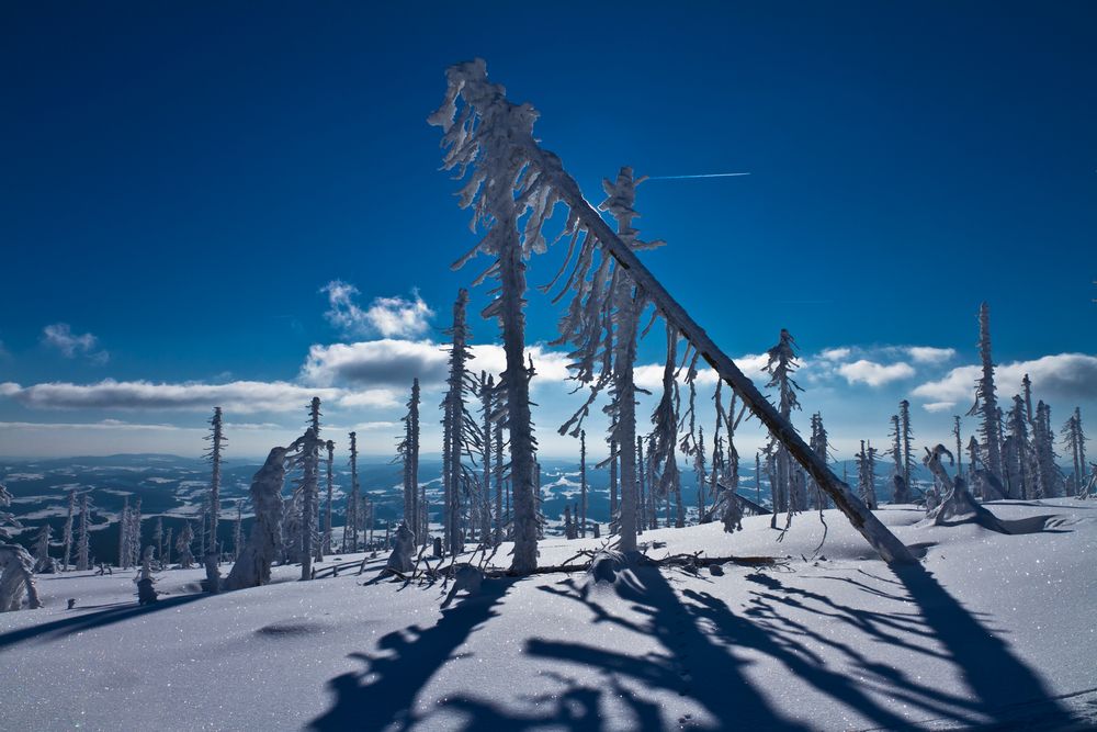 Licht und Schatten im Böhmerwald 2