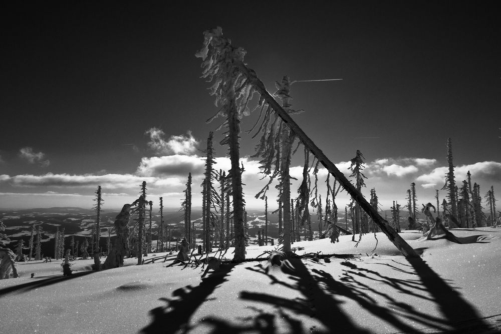 Licht und Schatten im Böhmerwald