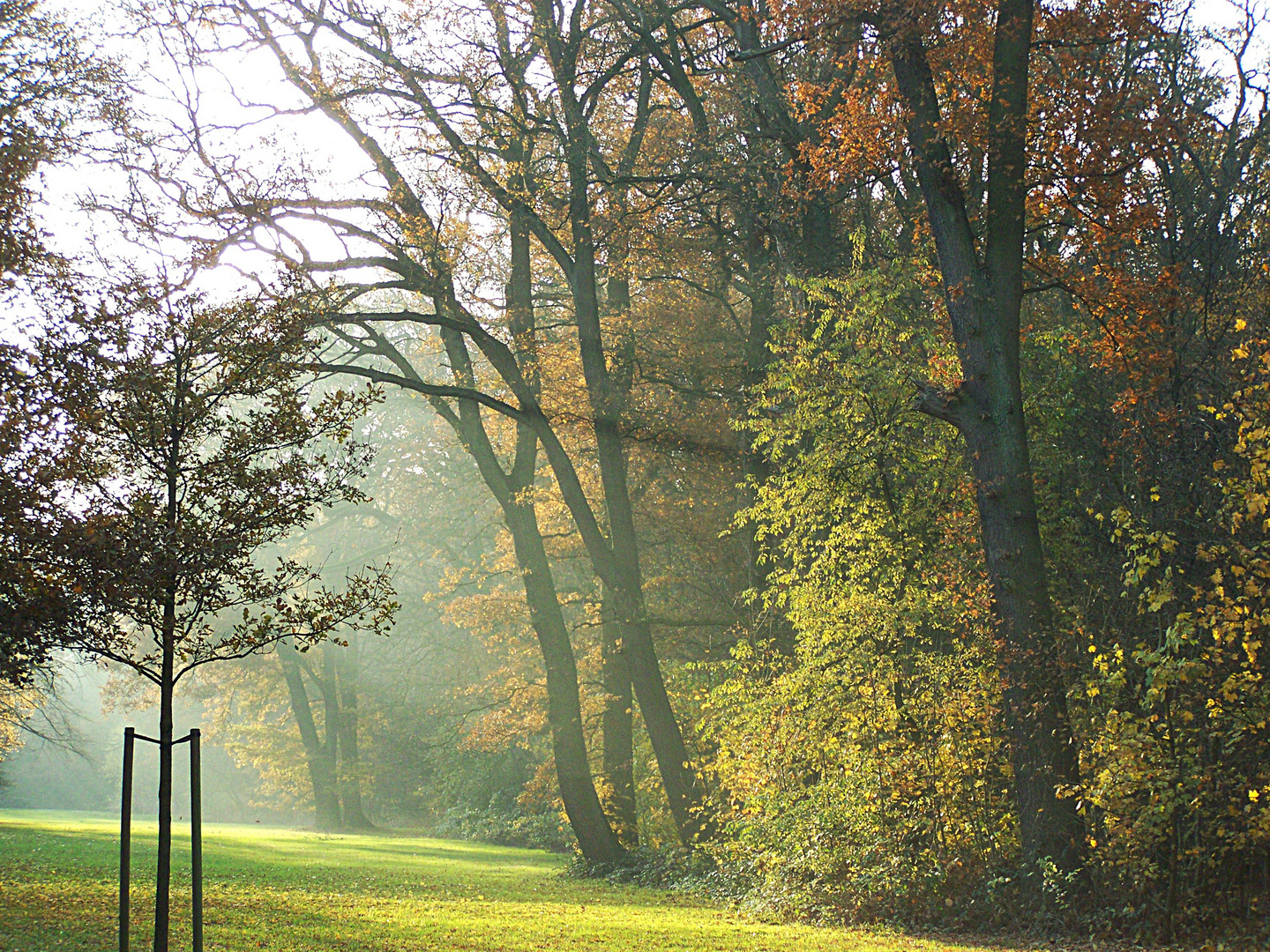 Licht und Schatten im Bremer Bürgerpark