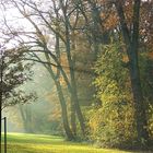 Licht und Schatten im Bremer Bürgerpark