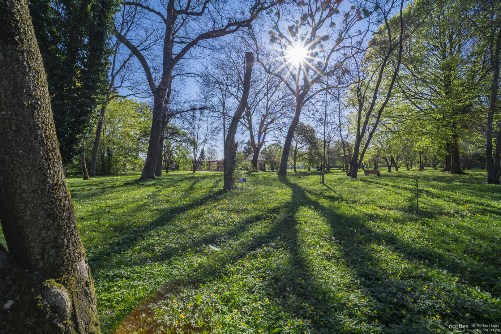 Licht und Schatten im Garten