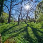 Licht und Schatten im Garten