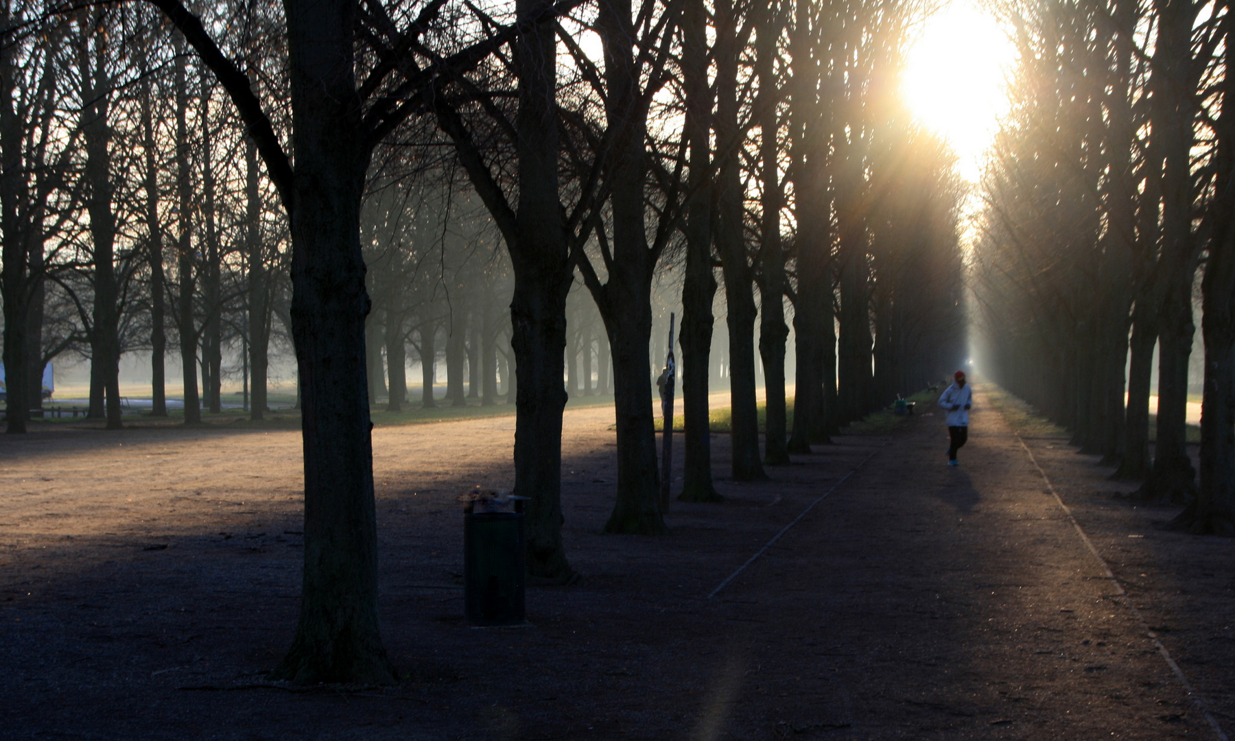 Licht und Schatten im Georgengarten