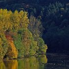 Licht und Schatten im herbstlichen Farbenspiel