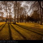 Licht und Schatten im Jülicher Stadtpark