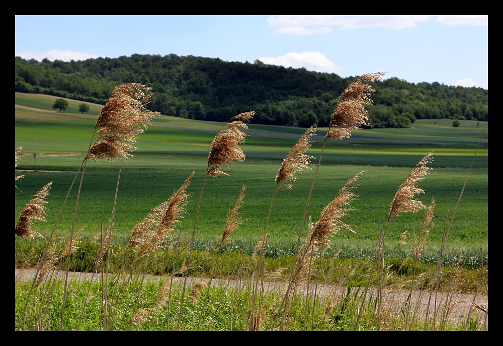 Licht und Schatten im Mai