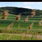 Licht und Schatten im Mai