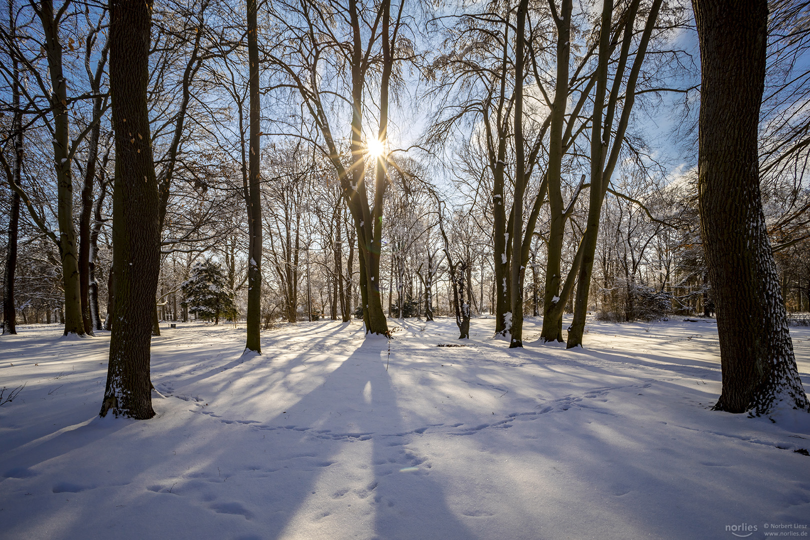 Licht und Schatten im Park