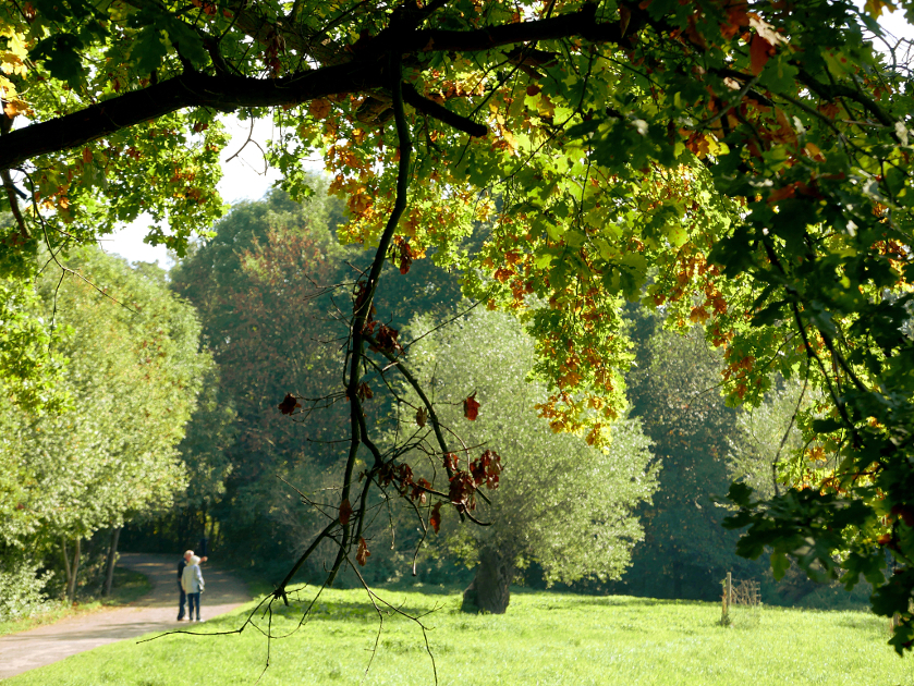 Licht und Schatten im Park