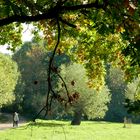 Licht und Schatten im Park