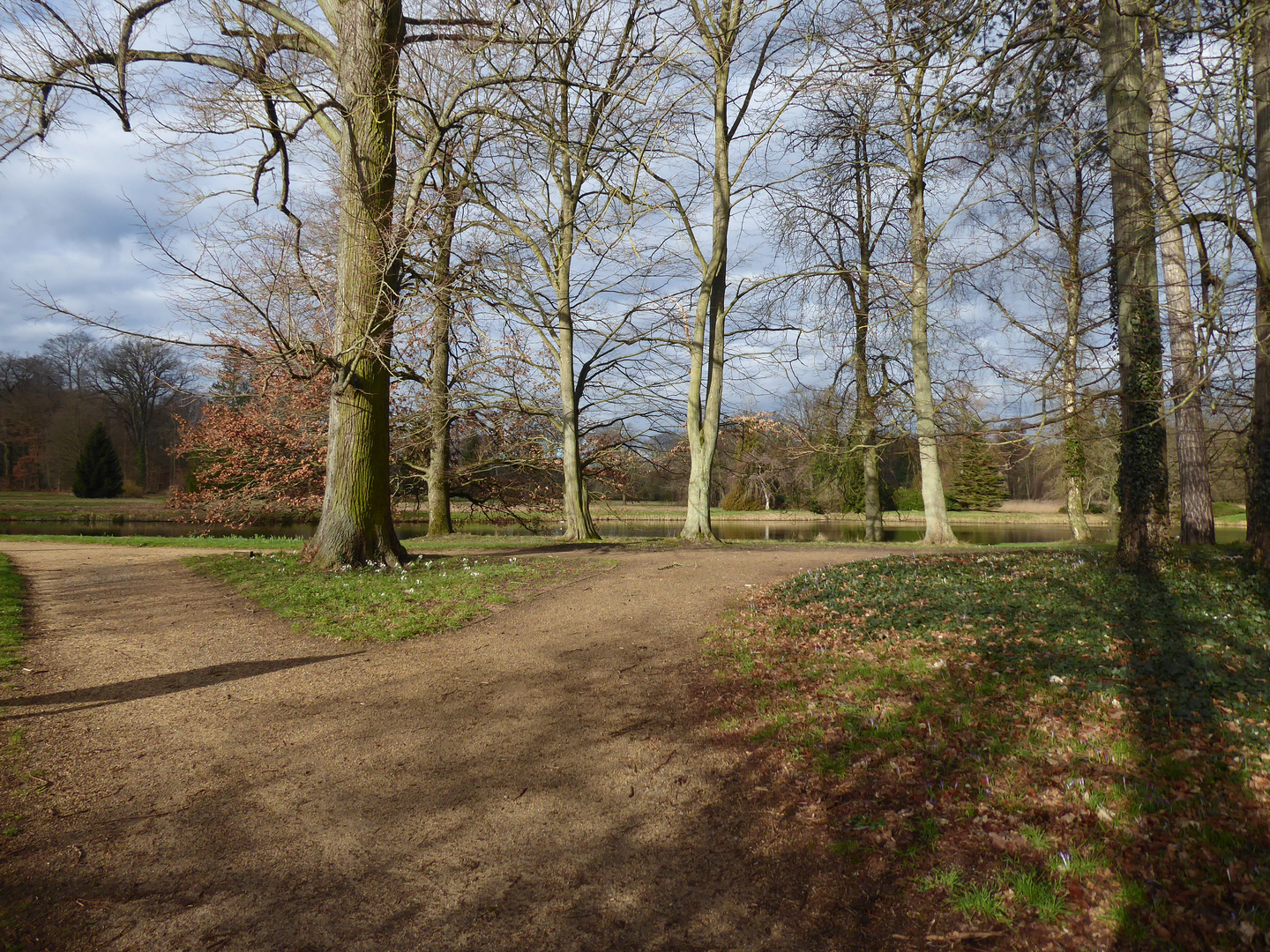 Licht und Schatten im Park