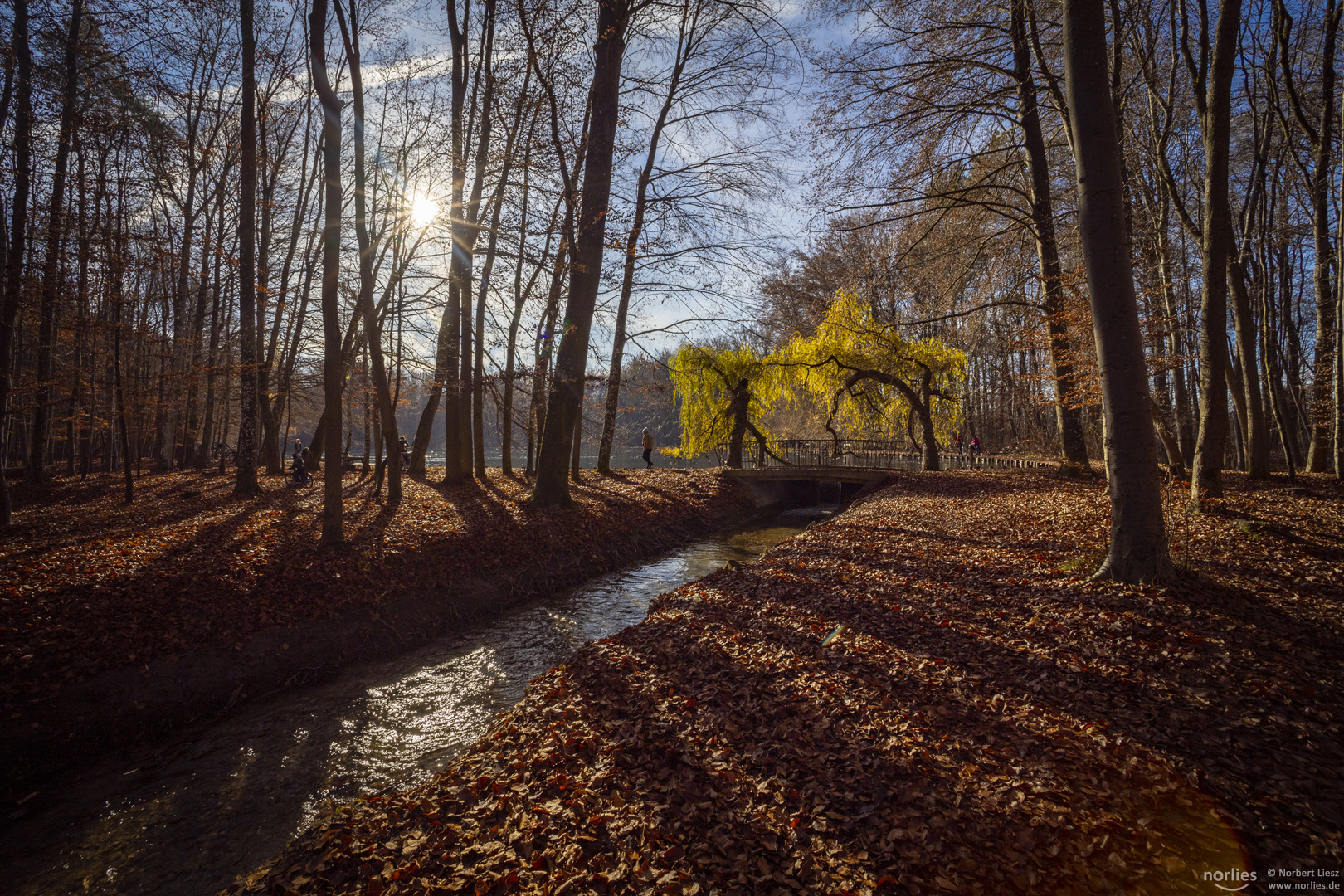 Licht und Schatten im Siebentischwald