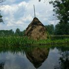 Licht und Schatten im Spreewald