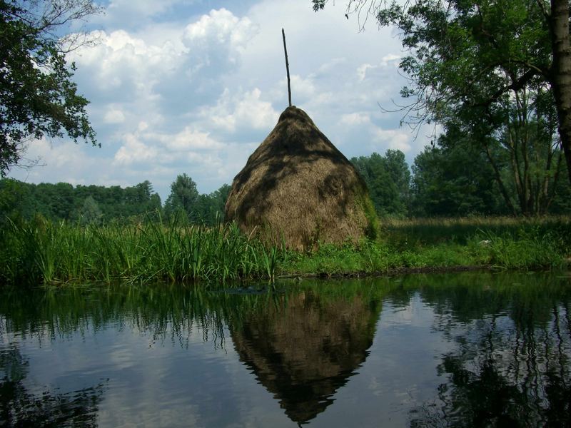 Licht und Schatten im Spreewald