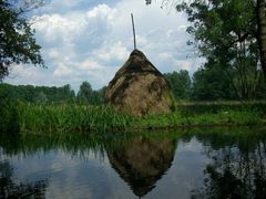 Licht und Schatten im Spreewald