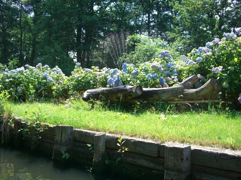 Licht und Schatten im Spreewald