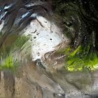 Licht und Schatten im Stalagmiten: ein Seelenbild. - Lumières et ténèbres dans la stalagmite.