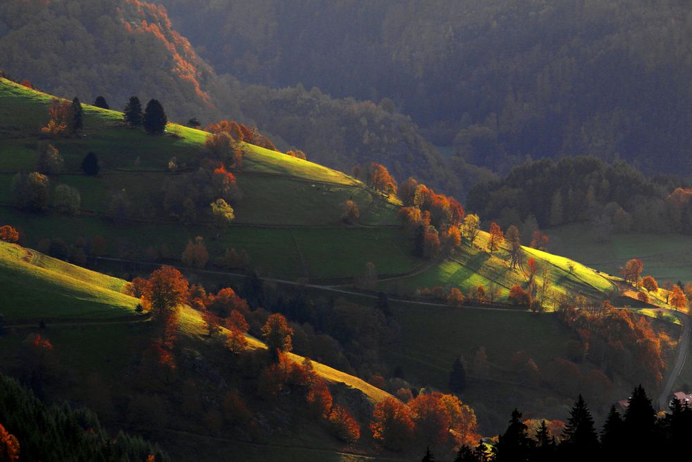 Licht und Schatten im Südschwarzwald