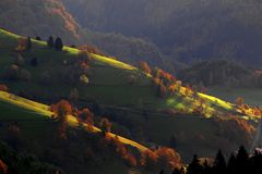 Licht und Schatten im Südschwarzwald