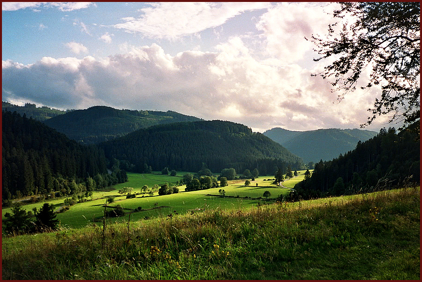 Licht und Schatten im Urseetal