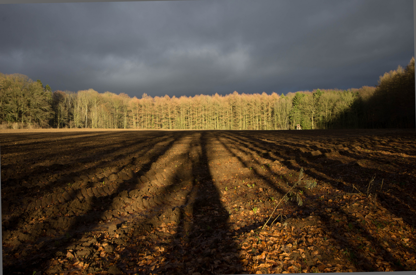 Licht und Schatten im Winter 2