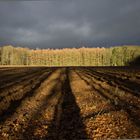 Licht und Schatten im Winter 2