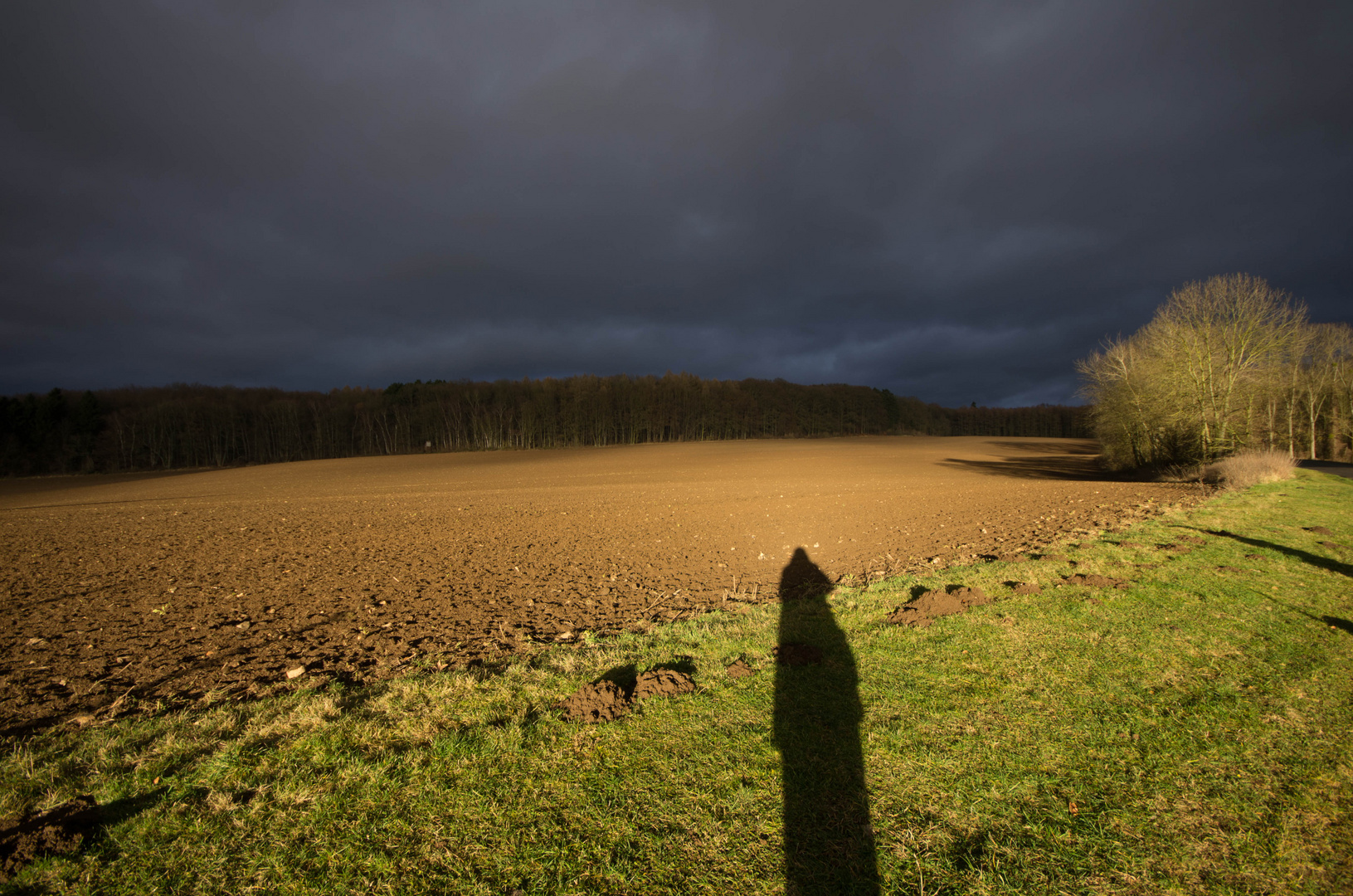 Licht und Schatten im Winter