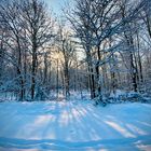 Licht und Schatten im Winterwald 