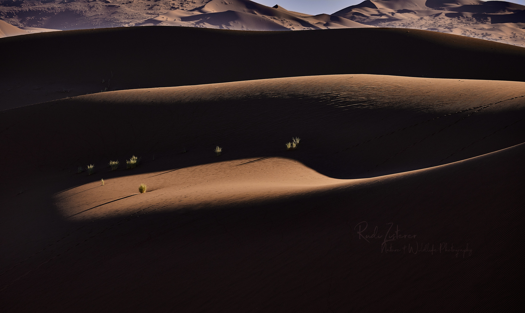 Licht und Schatten in den Dünen