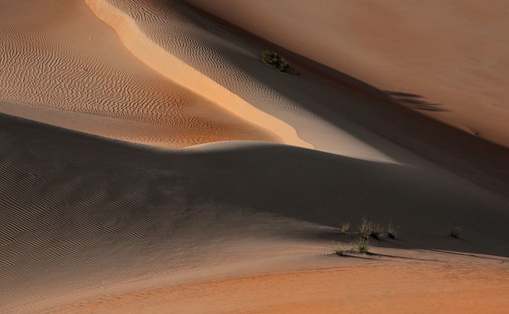 Licht und Schatten in der Liwa-Wüste