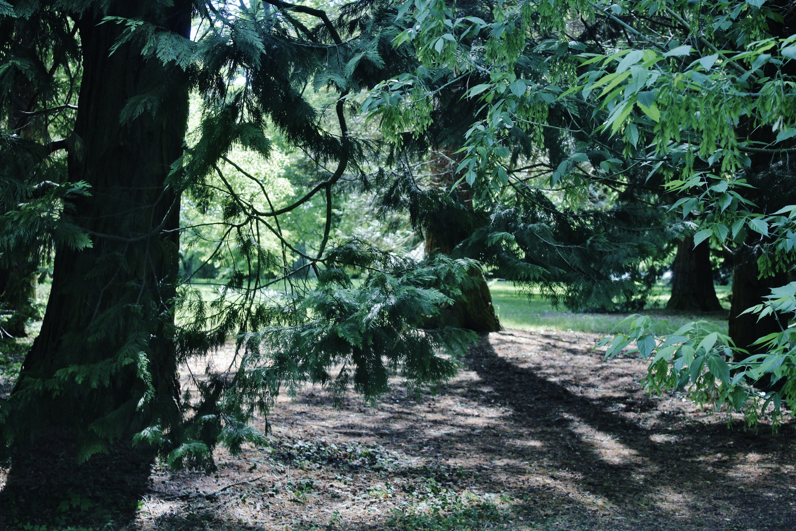 Licht und Schatten in der Natur