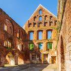 Licht und Schatten in der Ruine altes Kloster Bad Doberan 2