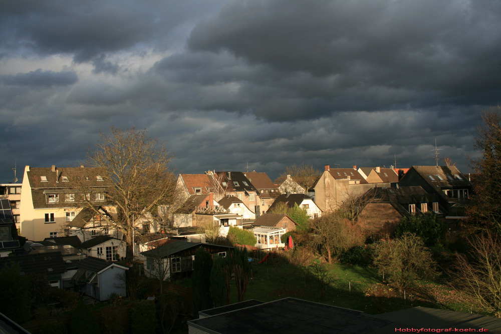 Licht und Schatten in Holweide