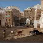 Licht und Schatten in Shibam