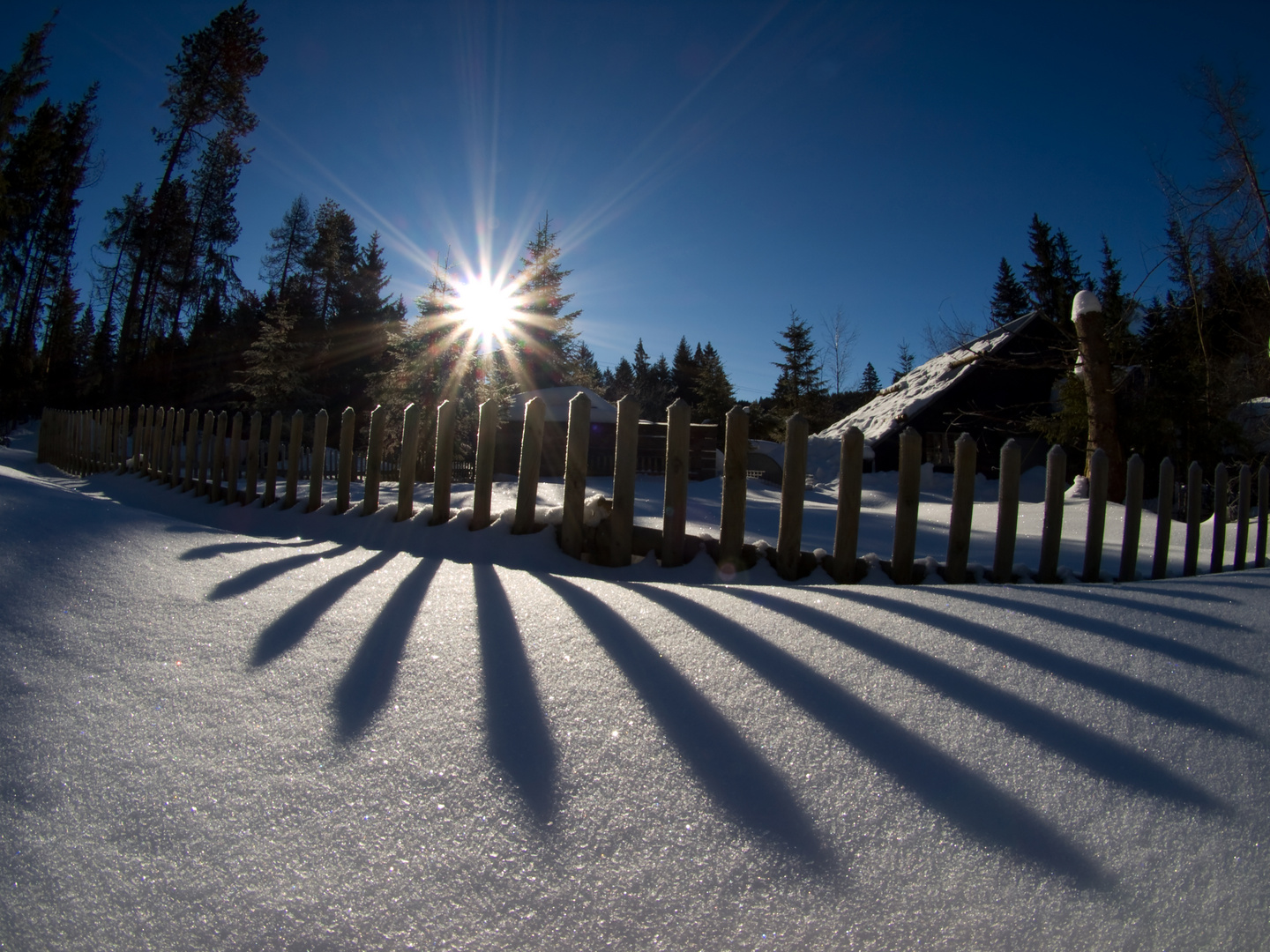 Licht und Schatten (Krienseregg/Schweiz)