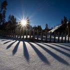 Licht und Schatten (Krienseregg/Schweiz)