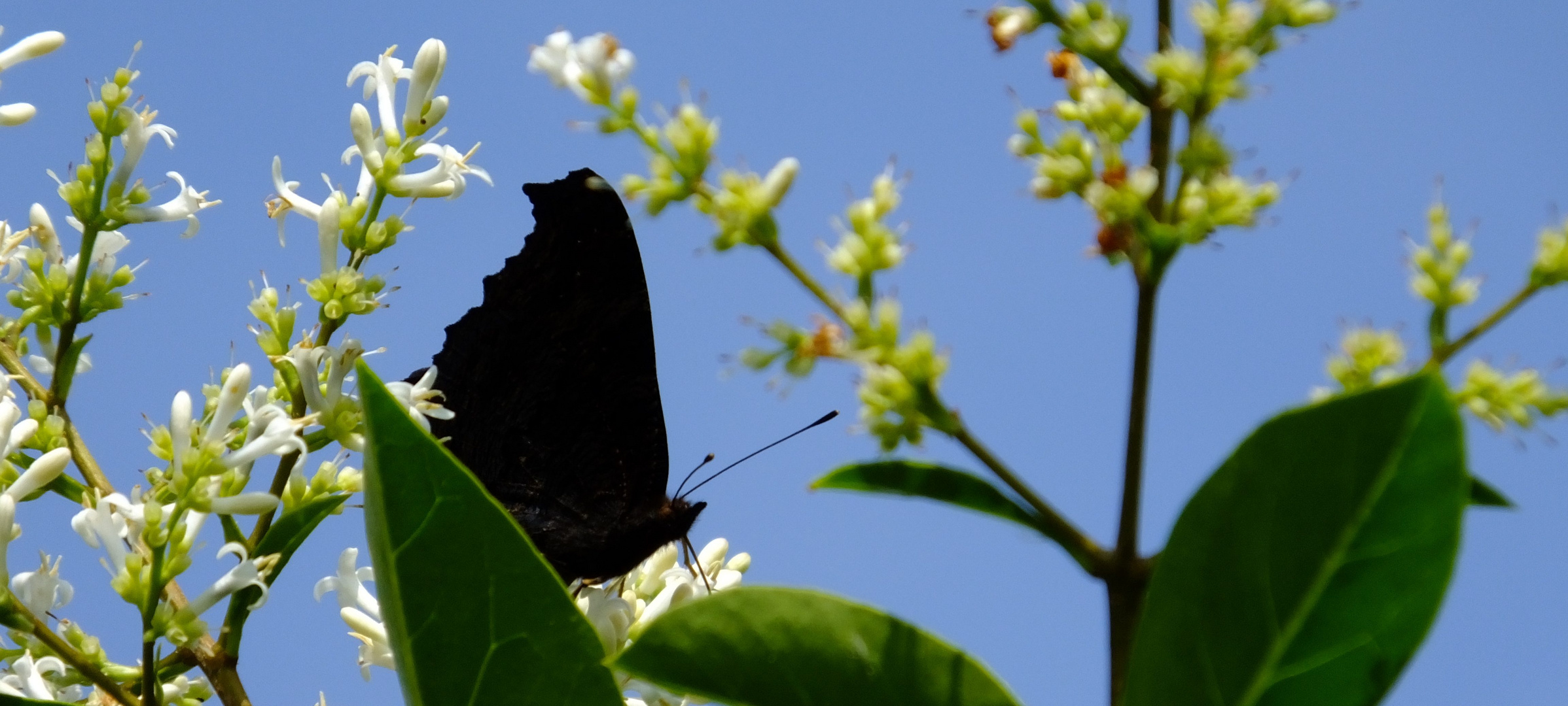 Licht und Schatten (light and shadow)